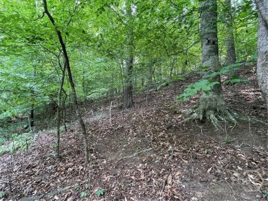 Don't miss this opportunity to build your dream home on a on The Trail At Chickasaw Pointe in South Carolina - for sale on GolfHomes.com, golf home, golf lot