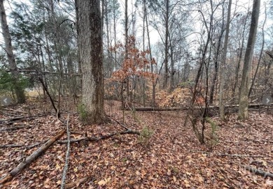 Lot 851 offers a stunning location, backing directly onto the on The Trail At Chickasaw Pointe in South Carolina - for sale on GolfHomes.com, golf home, golf lot