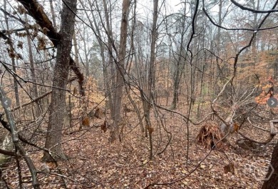 Lot 851 offers a stunning location, backing directly onto the on The Trail At Chickasaw Pointe in South Carolina - for sale on GolfHomes.com, golf home, golf lot