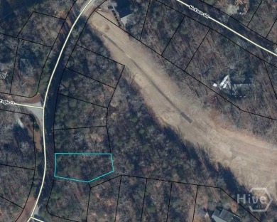 Lot 851 offers a stunning location, backing directly onto the on The Trail At Chickasaw Pointe in South Carolina - for sale on GolfHomes.com, golf home, golf lot