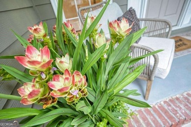 A Modern Cottage Retreat with Golf Course Views Front & Back on Canongate At Eagle Watch Golf Club in Georgia - for sale on GolfHomes.com, golf home, golf lot