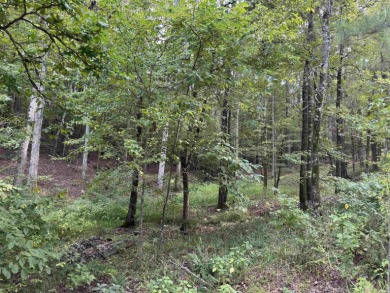 Beautiful .35 acre lot common to Lake Granada with great lake on Granada Golf Course in Arkansas - for sale on GolfHomes.com, golf home, golf lot