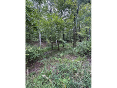 Beautiful .35 acre lot common to Lake Granada with great lake on Granada Golf Course in Arkansas - for sale on GolfHomes.com, golf home, golf lot