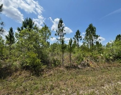 Build Your Dream Home in Scenic Indian Lake Estates.  Welcome to on Indian Lake Estates Golf and Country Club in Florida - for sale on GolfHomes.com, golf home, golf lot
