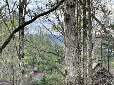 Come home to this impeccably maintained 3 BR/3 BA mountain cabin on White Path Golf Club in Georgia - for sale on GolfHomes.com, golf home, golf lot