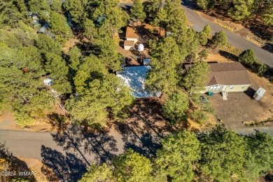 Nestled in Show Low's charming Fairway Park, this inviting on Bison Golf and Country Club in Arizona - for sale on GolfHomes.com, golf home, golf lot