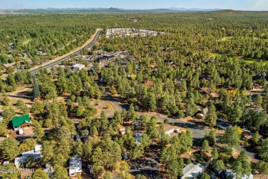 Nestled in Show Low's charming Fairway Park, this inviting on Bison Golf and Country Club in Arizona - for sale on GolfHomes.com, golf home, golf lot