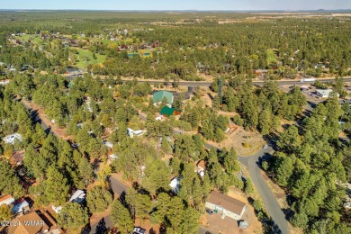 Nestled in Show Low's charming Fairway Park, this inviting on Bison Golf and Country Club in Arizona - for sale on GolfHomes.com, golf home, golf lot