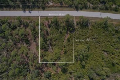Vacant Lot for Sale - 13152 Rounding Circle, Port Charlotte, FL 
 on Duffys Golf Center in Florida - for sale on GolfHomes.com, golf home, golf lot