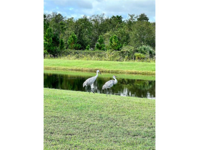 Extraordinary Pool Home in a Gated-Resort Community near Disney! on Polo Park Golf Course in Florida - for sale on GolfHomes.com, golf home, golf lot