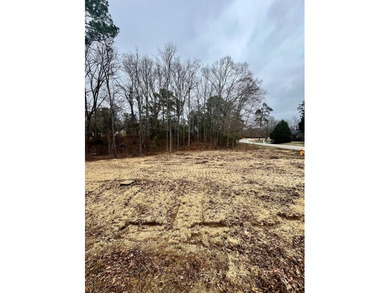 Experience the best of golf and lake living with this rare on The Links At Stoney Point in South Carolina - for sale on GolfHomes.com, golf home, golf lot