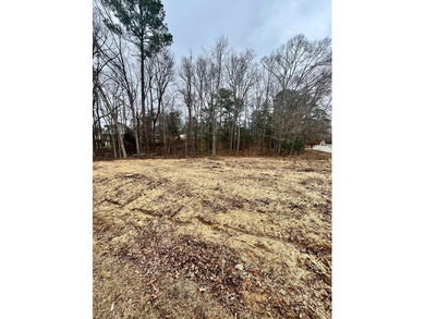 Experience the best of golf and lake living with this rare on The Links At Stoney Point in South Carolina - for sale on GolfHomes.com, golf home, golf lot