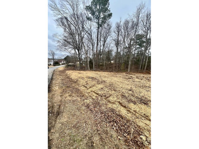Experience the best of golf and lake living with this rare on The Links At Stoney Point in South Carolina - for sale on GolfHomes.com, golf home, golf lot