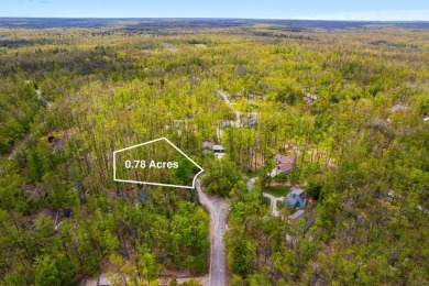 Escape to the beauty of Michaywe with this .78-acre wooded lot on Michaywe Pines Course in Michigan - for sale on GolfHomes.com, golf home, golf lot