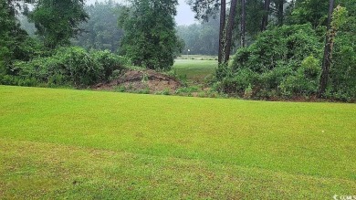 Everything's Included in your new dream home. DRAMATIC INTERIOR on Legends Golf Club in South Carolina - for sale on GolfHomes.com, golf home, golf lot