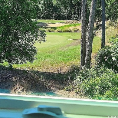 Everything's Included in your new dream home. DRAMATIC INTERIOR on Legends Golf Club in South Carolina - for sale on GolfHomes.com, golf home, golf lot