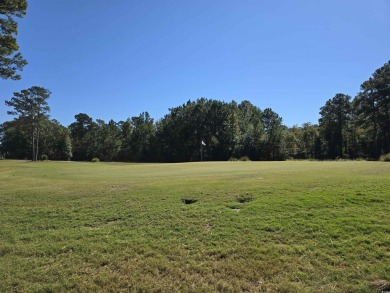 Everything's Included in your new dream home. DRAMATIC INTERIOR on Legends Golf Club in South Carolina - for sale on GolfHomes.com, golf home, golf lot