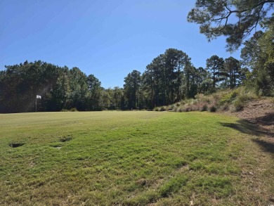 Everything's Included in your new dream home. DRAMATIC INTERIOR on Legends Golf Club in South Carolina - for sale on GolfHomes.com, golf home, golf lot