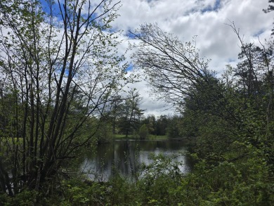 1.5+/-Acre wooded buildable lot situated within Garland Lodge & on Garland Resort and Golf Club  in Michigan - for sale on GolfHomes.com, golf home, golf lot