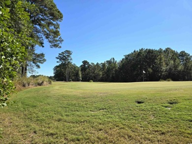 Everything's Included in your new dream home. DRAMATIC INTERIOR on Legends Golf Club in South Carolina - for sale on GolfHomes.com, golf home, golf lot