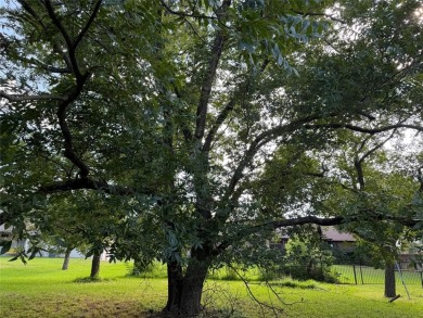 Great lot in Pecan Plantation at a great price. Across the on Pecan Plantation Country Club in Texas - for sale on GolfHomes.com, golf home, golf lot