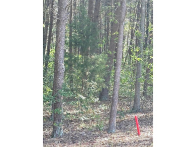 Welcome to your dream homesite nestled on the 11th fairway of a on Old North State Club at Uwharrie Point Golf community in North Carolina - for sale on GolfHomes.com, golf home, golf lot