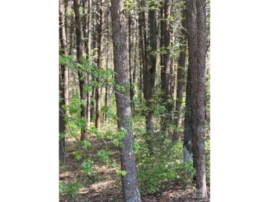 Welcome to your dream homesite nestled on the 11th fairway of a on Old North State Club at Uwharrie Point Golf community in North Carolina - for sale on GolfHomes.com, golf home, golf lot