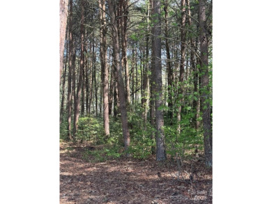 Welcome to your dream homesite nestled on the 11th fairway of a on Old North State Club at Uwharrie Point Golf community in North Carolina - for sale on GolfHomes.com, golf home, golf lot