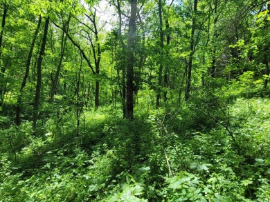 Imagine a long, secluded driveway leading to your dream home on Eagle Ridge Inn and Resort in Illinois - for sale on GolfHomes.com, golf home, golf lot