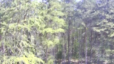 Welcome to your dream homesite nestled on the 11th fairway of a on Old North State Club at Uwharrie Point Golf community in North Carolina - for sale on GolfHomes.com, golf home, golf lot