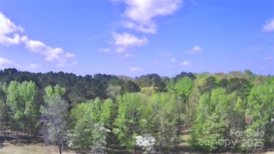 Welcome to your dream homesite nestled on the 11th fairway of a on Old North State Club at Uwharrie Point Golf community in North Carolina - for sale on GolfHomes.com, golf home, golf lot