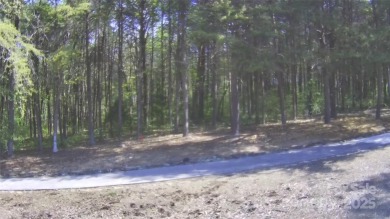 Welcome to your dream homesite nestled on the 11th fairway of a on Old North State Club at Uwharrie Point Golf community in North Carolina - for sale on GolfHomes.com, golf home, golf lot