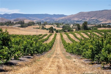 The prestigious 285 acre Jack Ranch is Edna Valley's crown jewel on San Luis Obispo Golf and Country Club in California - for sale on GolfHomes.com, golf home, golf lot