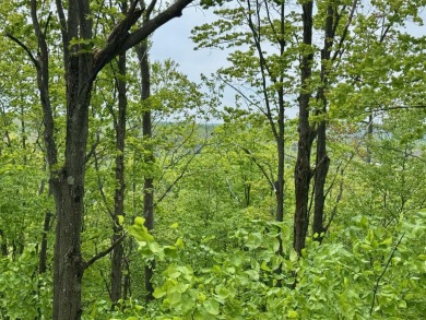 17 acres, the south/road-side is 3.5 acres of open meadow. It on Black Bear Golf Club in Michigan - for sale on GolfHomes.com, golf home, golf lot
