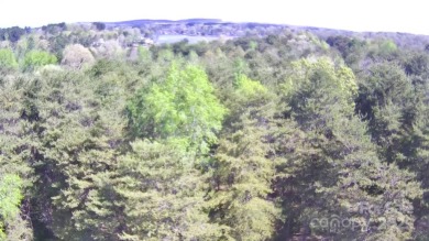 Welcome to your dream homesite nestled on the 11th fairway of a on Old North State Club at Uwharrie Point Golf community in North Carolina - for sale on GolfHomes.com, golf home, golf lot