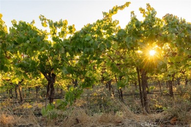 The prestigious 285 acre Jack Ranch is Edna Valley's crown jewel on San Luis Obispo Golf and Country Club in California - for sale on GolfHomes.com, golf home, golf lot