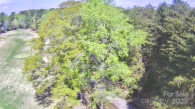 Welcome to your dream homesite nestled on the 11th fairway of a on Old North State Club at Uwharrie Point Golf community in North Carolina - for sale on GolfHomes.com, golf home, golf lot