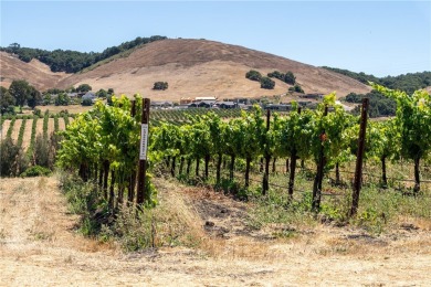 The prestigious 285 acre Jack Ranch is Edna Valley's crown jewel on San Luis Obispo Golf and Country Club in California - for sale on GolfHomes.com, golf home, golf lot