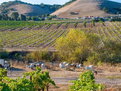 The prestigious 285 acre Jack Ranch is Edna Valley's crown jewel on San Luis Obispo Golf and Country Club in California - for sale on GolfHomes.com, golf home, golf lot