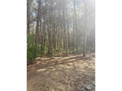 Welcome to your dream homesite nestled on the 11th fairway of a on Old North State Club at Uwharrie Point Golf community in North Carolina - for sale on GolfHomes.com, golf home, golf lot