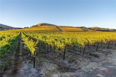 The prestigious 285 acre Jack Ranch is Edna Valley's crown jewel on San Luis Obispo Golf and Country Club in California - for sale on GolfHomes.com, golf home, golf lot
