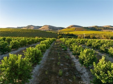The prestigious 285 acre Jack Ranch is Edna Valley's crown jewel on San Luis Obispo Golf and Country Club in California - for sale on GolfHomes.com, golf home, golf lot