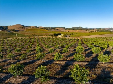 The prestigious 285 acre Jack Ranch is Edna Valley's crown jewel on San Luis Obispo Golf and Country Club in California - for sale on GolfHomes.com, golf home, golf lot