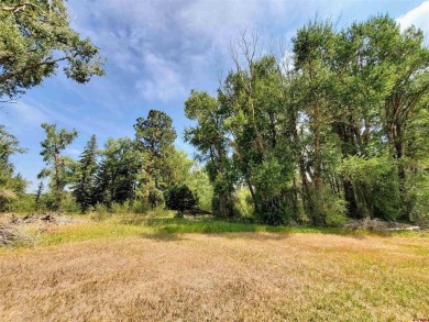Dee Plucinski, Steffens and Company Realty, Inc, C: , dee,  : on Rio Grande Golf Club in Colorado - for sale on GolfHomes.com, golf home, golf lot