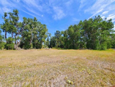 Dee Plucinski, Steffens and Company Realty, Inc, C: , dee,  : on Rio Grande Golf Club in Colorado - for sale on GolfHomes.com, golf home, golf lot