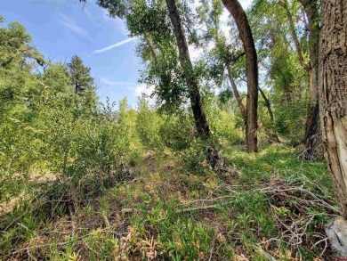 Dee Plucinski, Steffens and Company Realty, Inc, C: , dee,  : on Rio Grande Golf Club in Colorado - for sale on GolfHomes.com, golf home, golf lot
