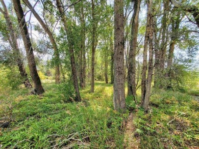 Dee Plucinski, Steffens and Company Realty, Inc, C: , dee,  : on Rio Grande Golf Club in Colorado - for sale on GolfHomes.com, golf home, golf lot