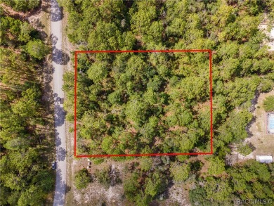 Build your dream home on this 1.12-acre oasis in Citrus Springs! on Citrus Springs Country Club in Florida - for sale on GolfHomes.com, golf home, golf lot