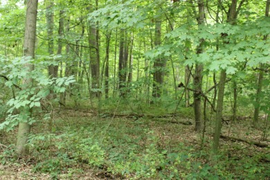 Lot 17 is a Nice buildable, heavily wooded lot in a great on Point O Woods Country Club in Michigan - for sale on GolfHomes.com, golf home, golf lot