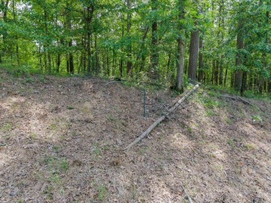 Here's an amazing opportunity to own a large lot - over 1.7 on Diamondhead Golf and Country Club in Arkansas - for sale on GolfHomes.com, golf home, golf lot